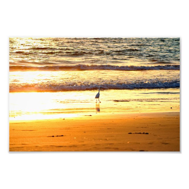 El Porto Manhattan Beach Fototryck (Framsidan)