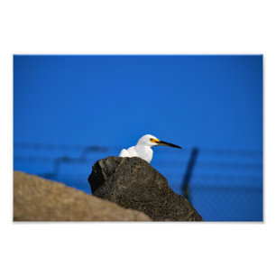 El Porto Manhattan Beach Fototryck