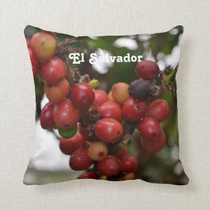 El Salvador kaffebönor Kudde