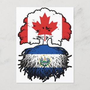 El Salvador Salvadoran Canadian Canada Träd Roots Vykort