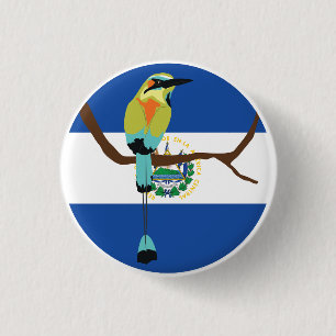 El Salvador Turkvoise broced motmot Torogoz Knapp