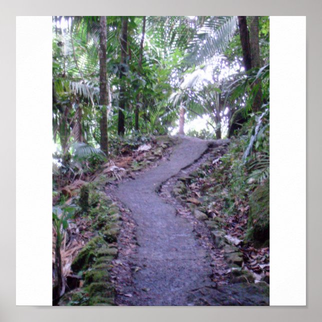 El Yunque National Forest Poster (Framsidan)