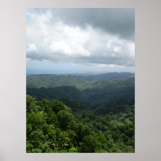 El Yunque National Forest Poster (Framsidan)