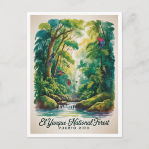 El Yunque nationalpark Puerto Rico Vykort