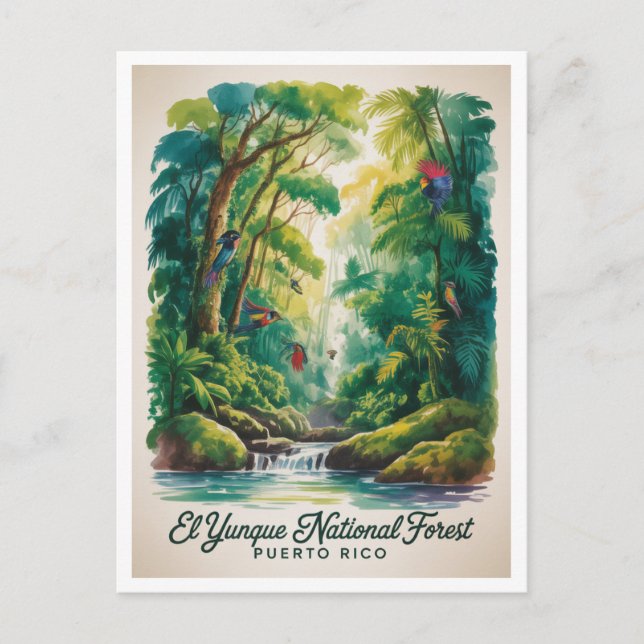 El Yunque nationalpark Puerto Rico Vykort (Framsida)