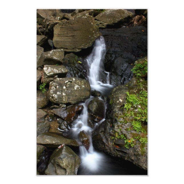 El Yunque Puerto Rico Fototryck (Framsidan)