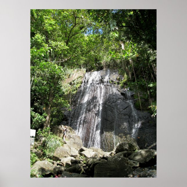 El Yunque Puerto Rico Framed Photo Poster (Framsidan)