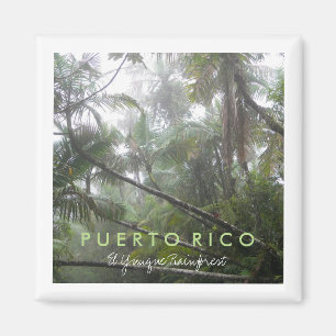 El Yunque, Puerto Rico Magnet