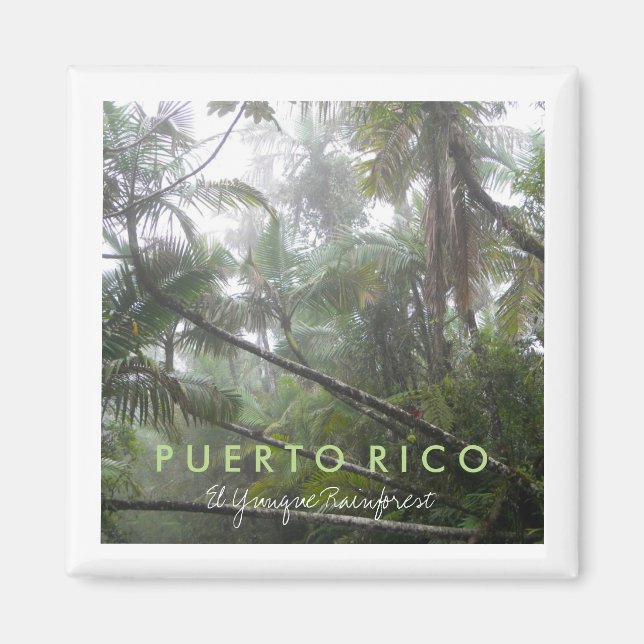 El Yunque, Puerto Rico Magnet (Framsidan)