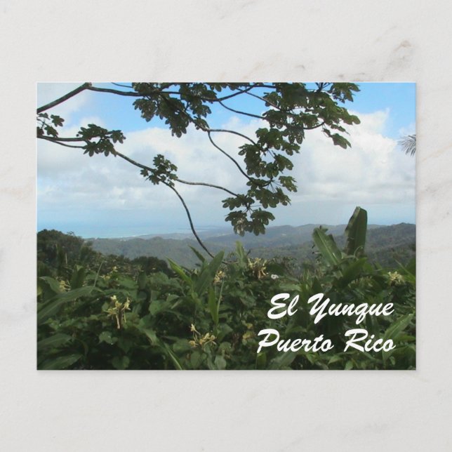 El Yunque, Puerto Rico Vykort (Framsida)