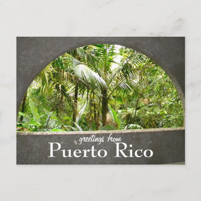 El Yunque, Puerto Rico Vykort (Framsida)
