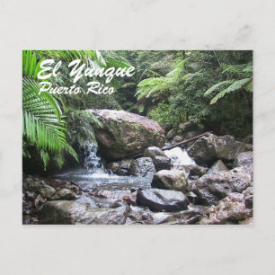 El Yunque, Puerto Rico Vykort