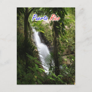 El Yunque Puerto Rico Vykort