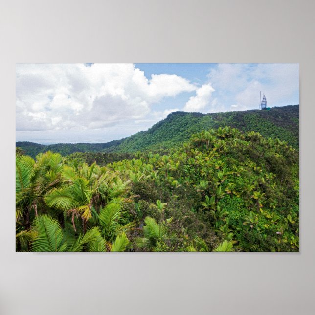 El yunque regnwood och kommunikationer torn poster (Framsidan)