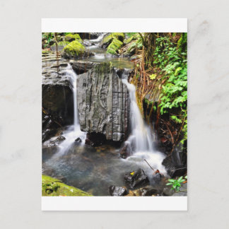 El Yunque Waterfall Vykort
