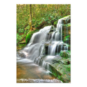 Elakala Falls #2 (Shays Springa), Väster Virginia Fototryck
