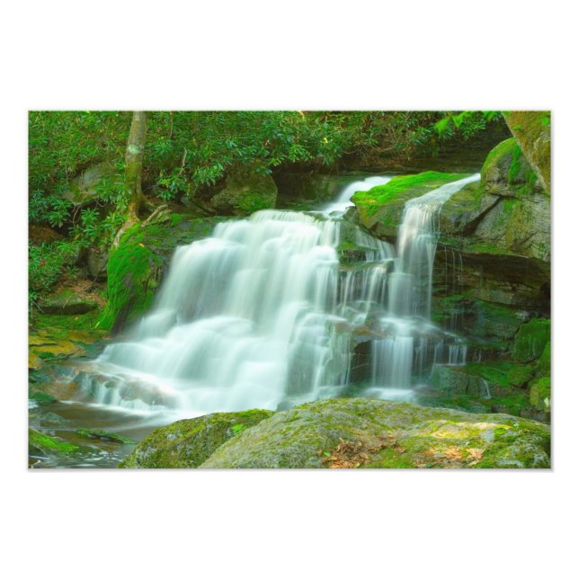 Elakala Falls #2, Väster Virginia Fototryck (Framsidan)