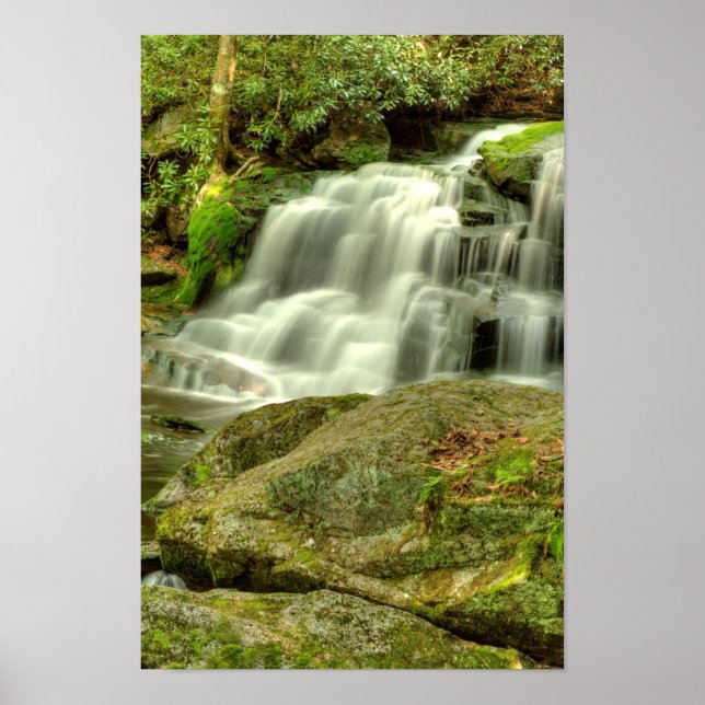 Elakala Falls #2, Väster Virginia Poster (Framsidan)