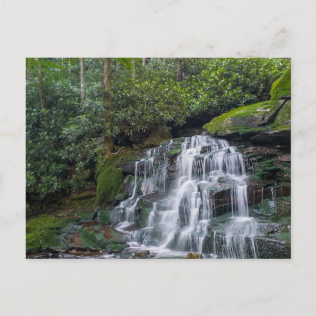 Elakala Falls #2, Väster Virginia Vykort (Framsida)