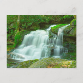 Elakala Falls #2, West Virginia Vykort