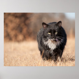 Elaket Tittar Softie Poster