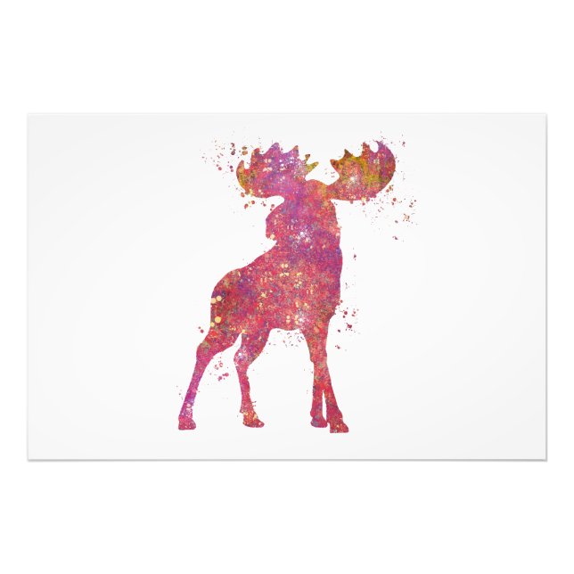 Elan Animal Forêt Faune Sauvage Nature Monde Terre Fototryck (Framsidan)