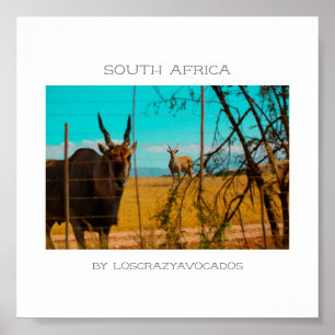 Eland Antelope Animal South Afrika ZA Poster