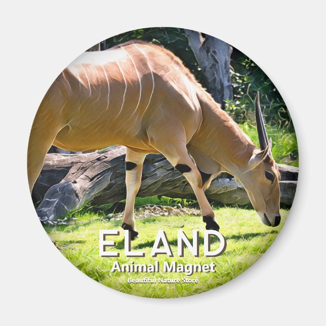 Eland Magnet (Framsidan)