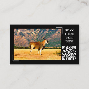 Eland Mountain Wildlife Photography Anpassningsbar Visitkort