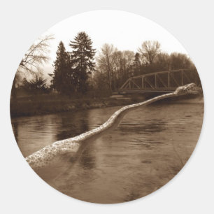 Elasmosaurus Gifts Runt Klistermärke