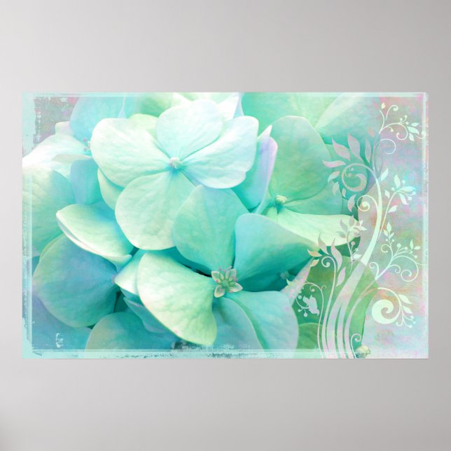 Elation, Mint, Aqua Hydrangea Poster (Framsidan)