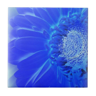 Elblågröna gerbera kakelplatta