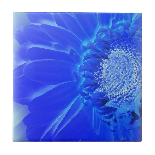 Elblågröna gerbera kakelplatta (Framsidan)