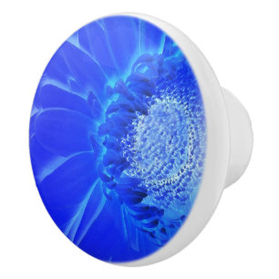 Elblågröna gerbera knopp