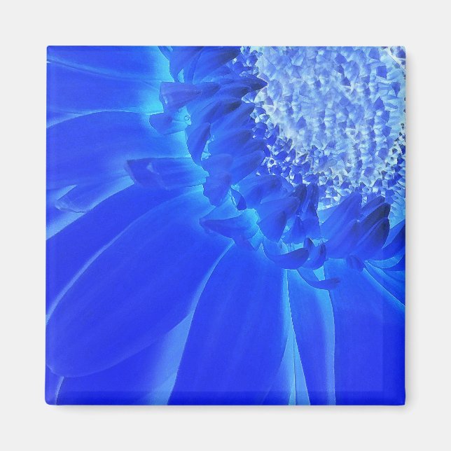 Elblågröna gerbera magnet (Framsidan)