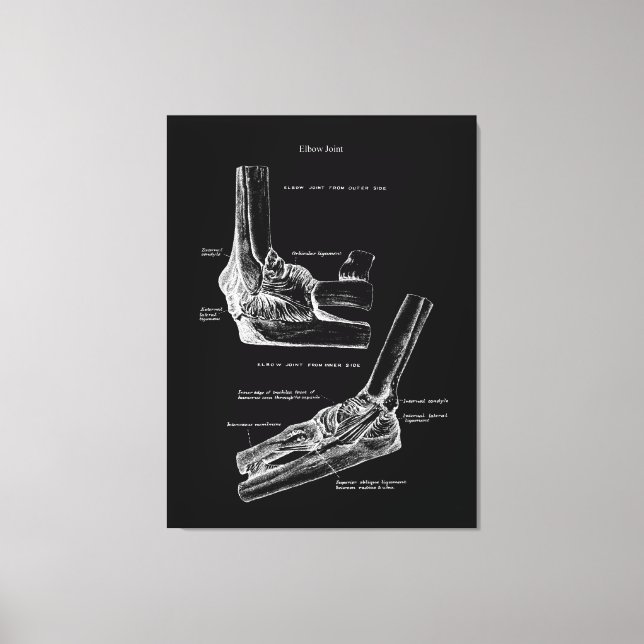 Elbow Joint Anatomy Canvas Art (Framsida)