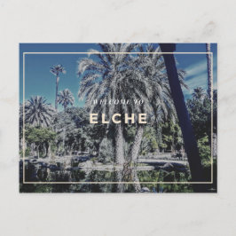 Elche Postcard Vykort