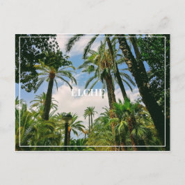 Elche Postcard Vykort