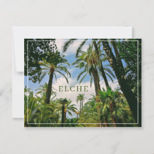 Elche vykort