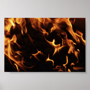eld-8836_640 poster