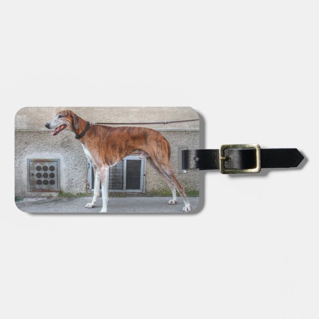 Elder Brindle Greyhound Bagagebricka (Horisontell Framsida)