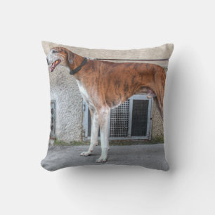 Elder Brindle Greyhound Kudde