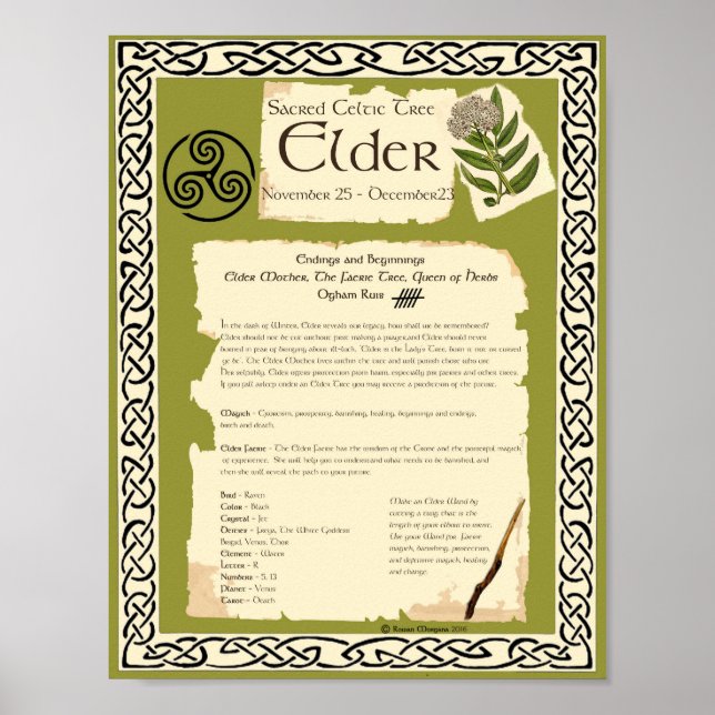 ELDER CELTIC HELIG TRÄD POSTER (Framsidan)