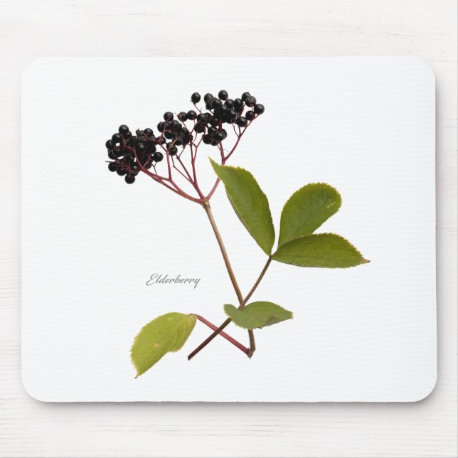 Elderberry Musmatta (Framsidan)