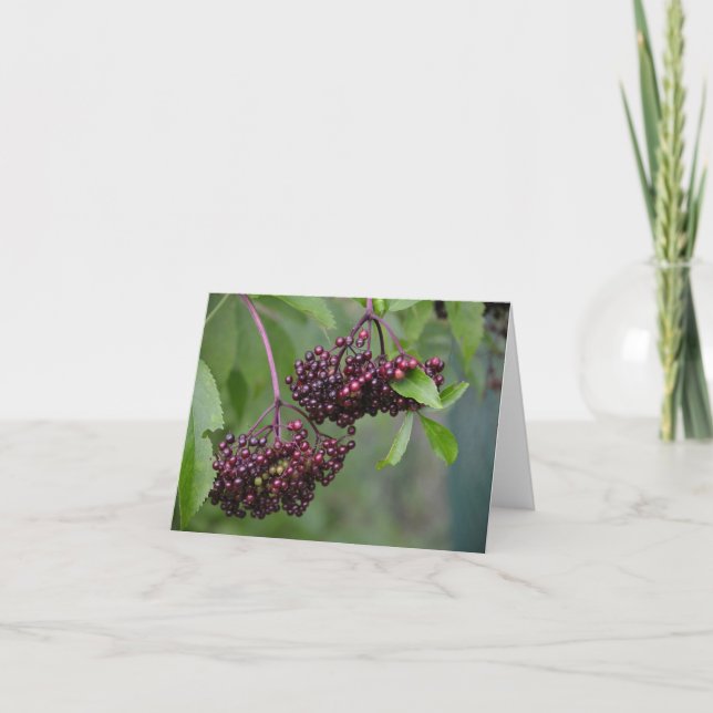 Elderberry Notecard Kort (Framsida)