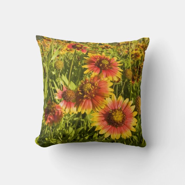 Eldhjul (Gaillardia pulchella) vilda blommor Kudde (Framsida)
