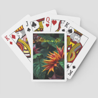 Eldig blomning i den förtrollade djungeln casinokort