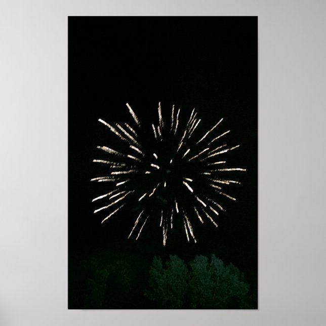 Eldshow med träd poster (Framsidan)