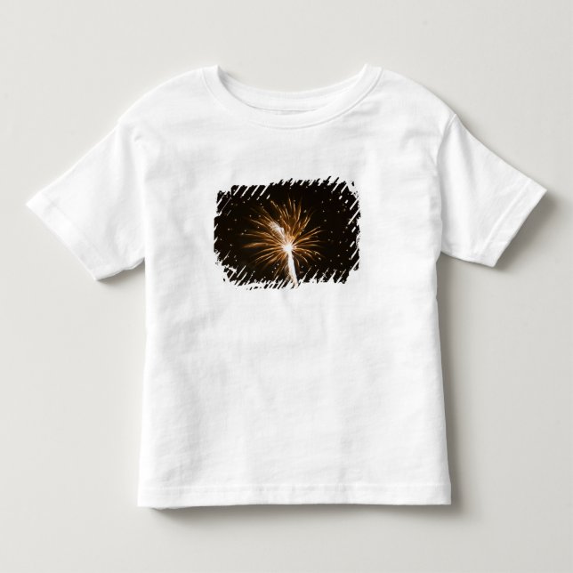Eldshow på Savannahfloden Tee Shirt (Framsida)