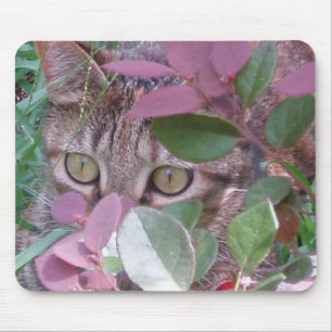 Eldsvådakatten synar Mousepad Musmatta